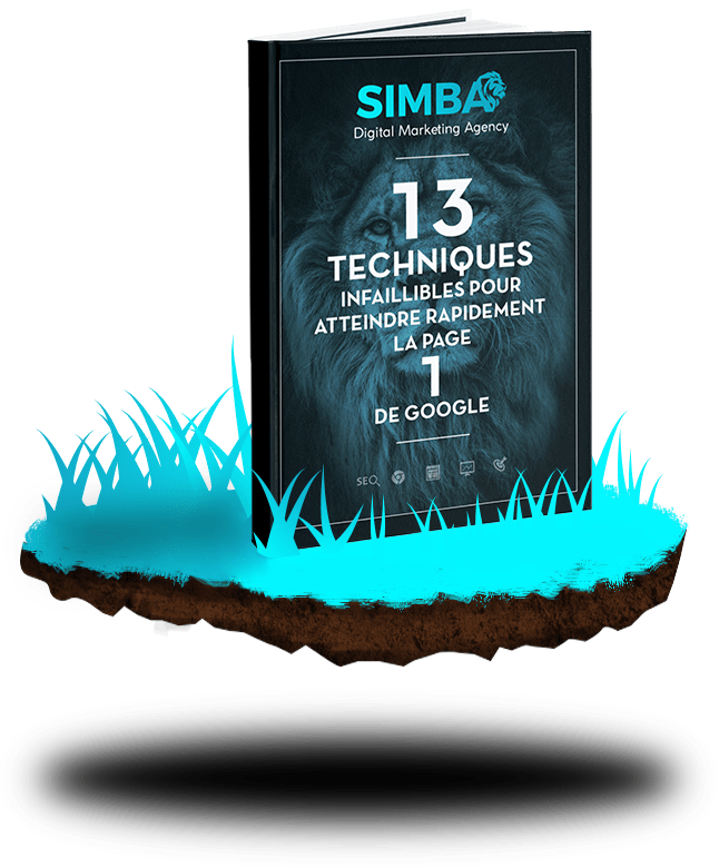 simba_ebook_atteindre_première_page_google_2
