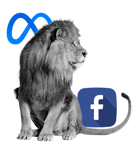 Votre agence Facebook Ads Lyon - Simba Digital