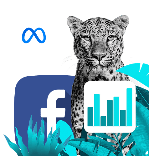 Agence Facebook Ads - Simba Digital