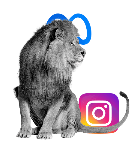 Agence Instagram Ads Lyon - Simba Digital