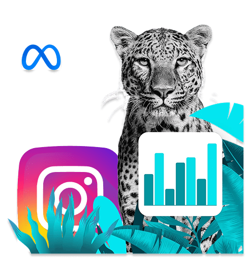 Agence Instagram Ads - Simba Digital