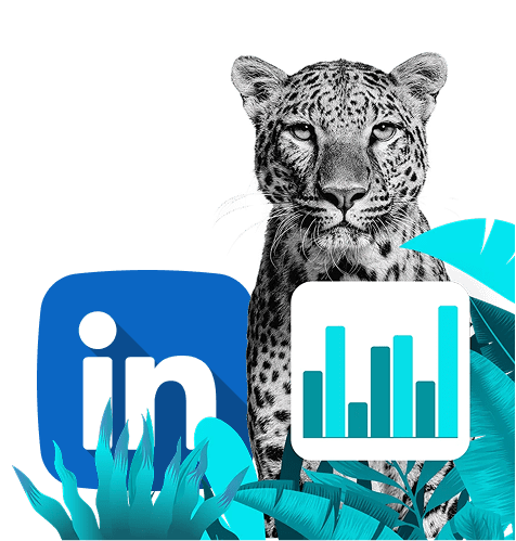 Agence Linkedin Ads - Simba Digital