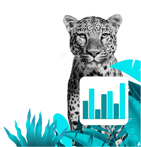 Agence SEO - Simba Digital
