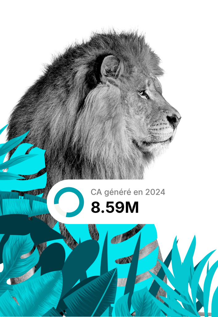 Simba Digital - agence marketing digital - mobile