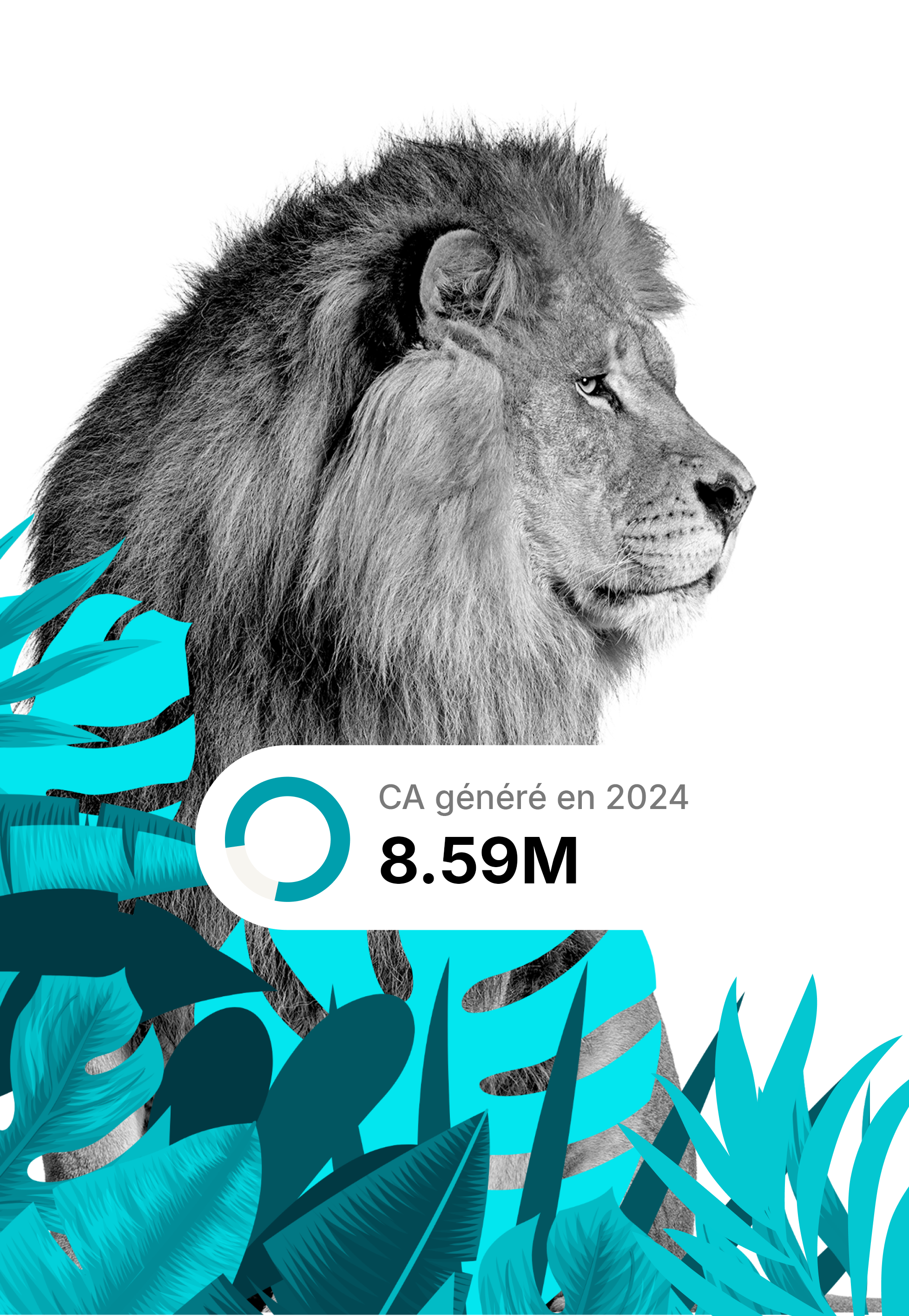 Simba Digital - agence marketing digital - mobile