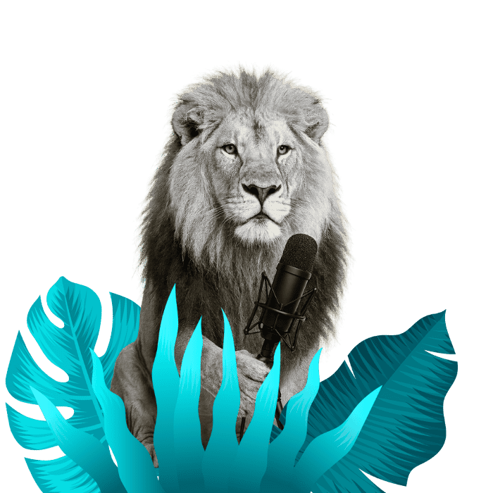 Studio Podcast - Simba Digital