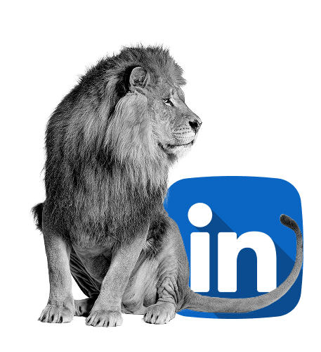 Votre agence Linkedin Ads - Simba Digital