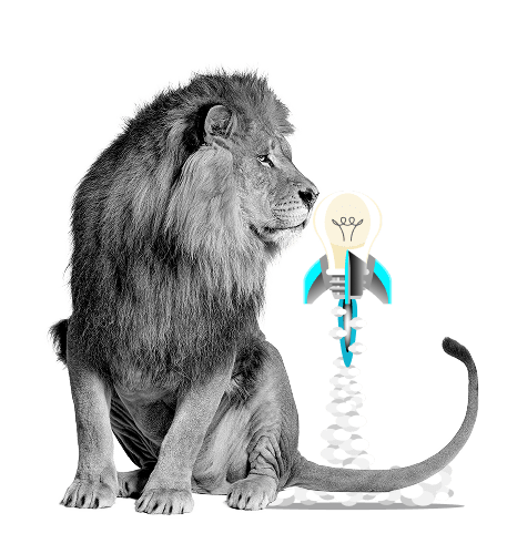 Votre agence de marketing digital - Simba Digital