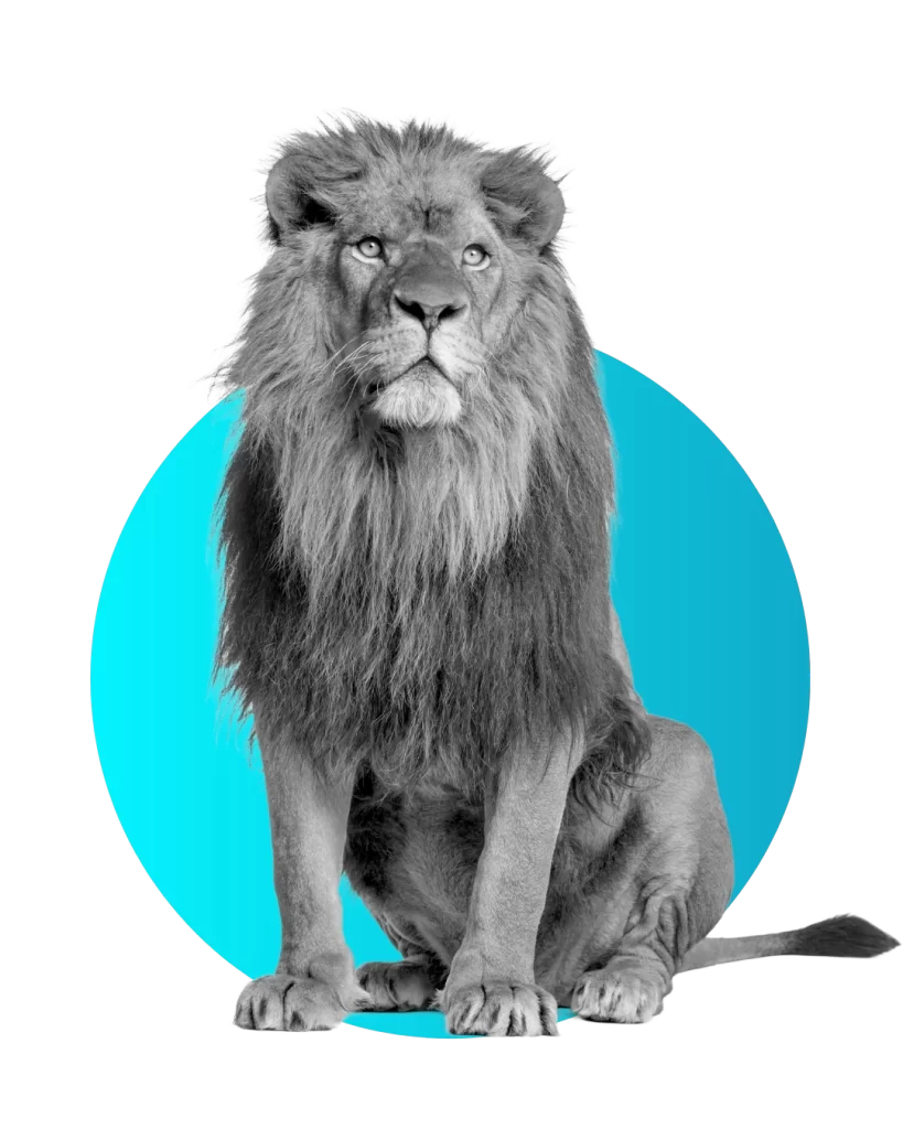 Your B2C Marketing Agency