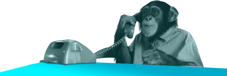 Agence Facebook Ads - Simba Digital