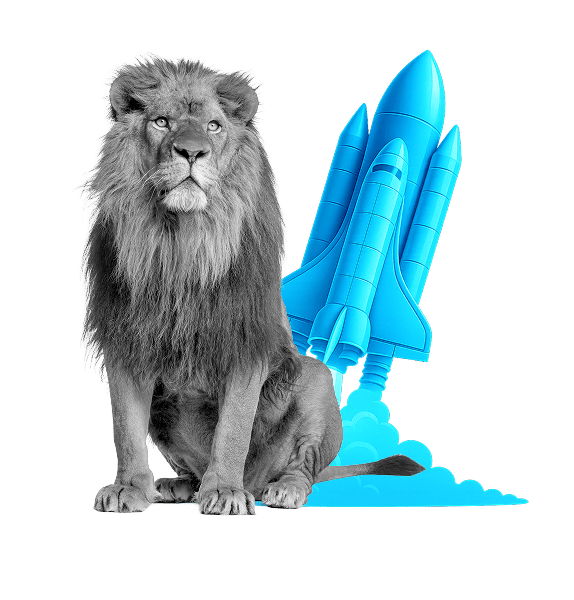 Agence digitale e-commerce - Simba Digital