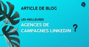 Agence-de-campagnes-Linkedin-Les-meilleurs-agences